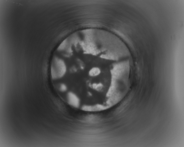 X0000088470111200706191355