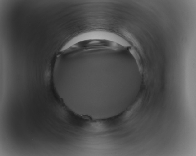 X0000088470113200706191355