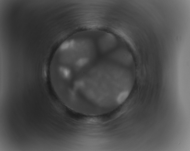 X0000088470115200706191355