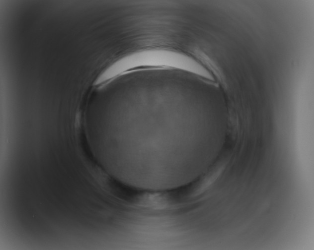 X0000088470117200706191355
