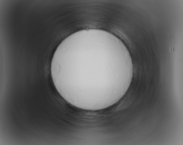 X0000088470119200706191355