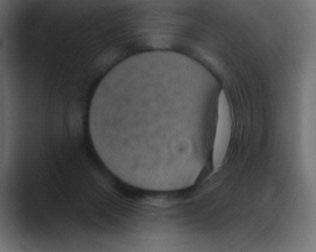 X0000088470120200706191355