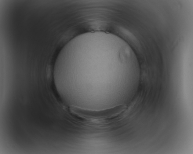 X0000088470121200706191355
