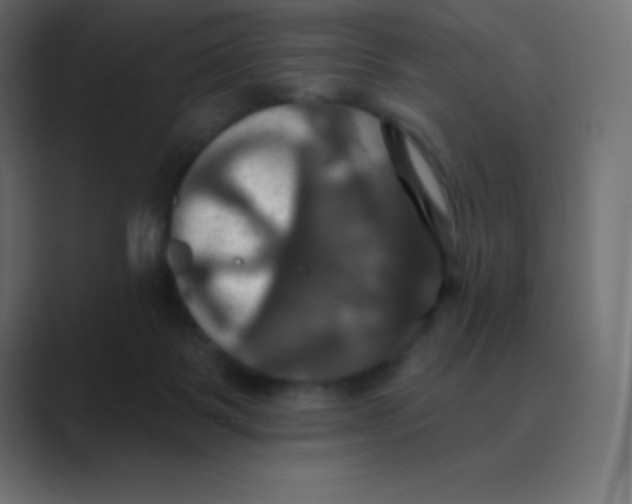 X0000088470123200706191355