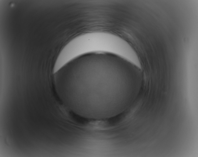 X0000088470125200706191355