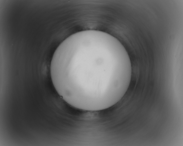 X0000088470126200706191355