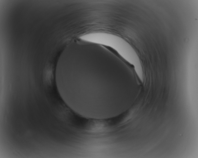 X0000088470127200706191355