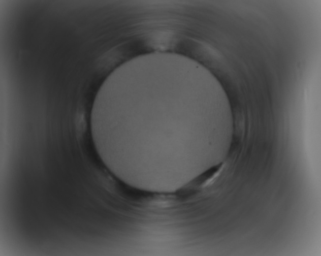 X0000088470128200706191355