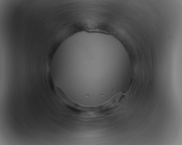 X0000088470129200706191355