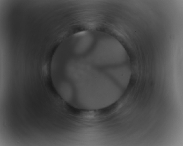 X0000088470131200706191355