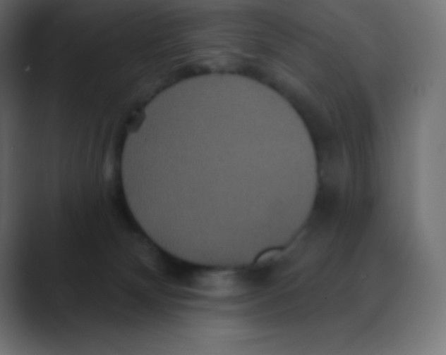 X0000088470132200706191355