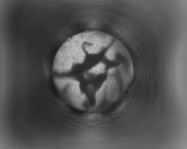 X0000088470135200706191355