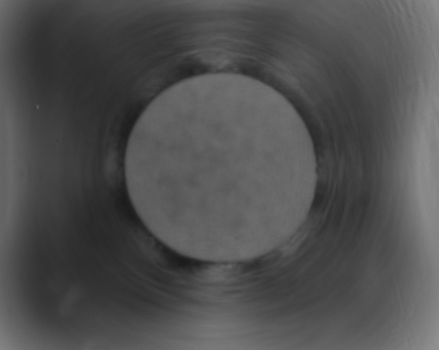 X0000088470136200706191355