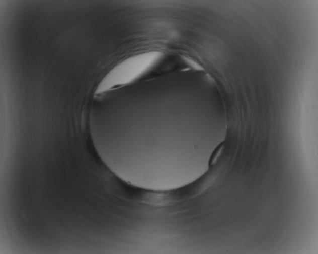 X0000088470139200706191355