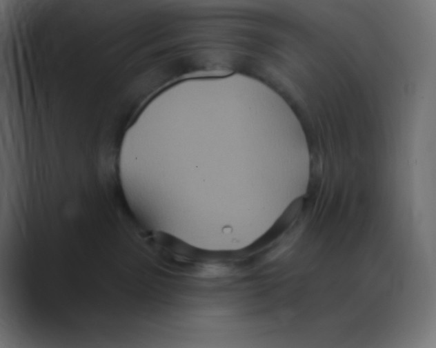 X0000088470141200706191355