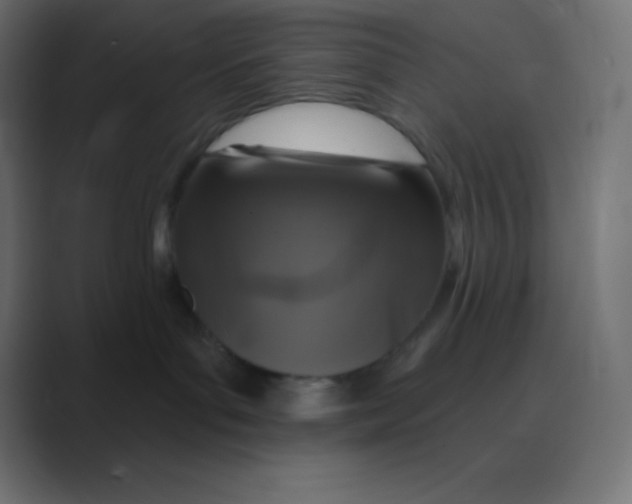 X0000088470143200706191355