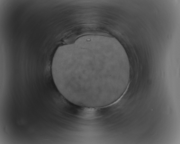 X0000088470144200706191355