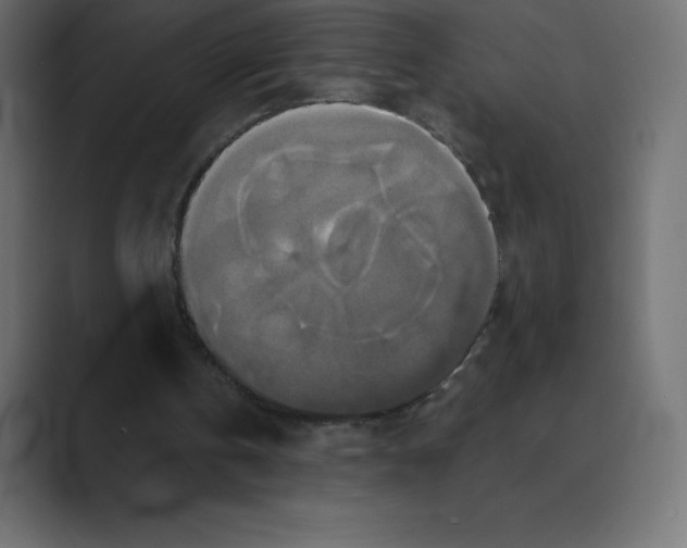 X0000088470146200706191354