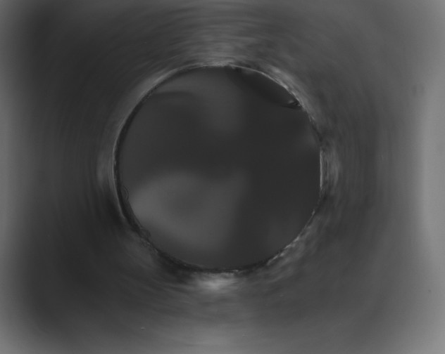 X0000088470147200706191354