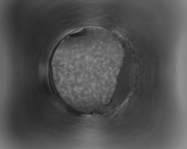 X0000088470148200706191354