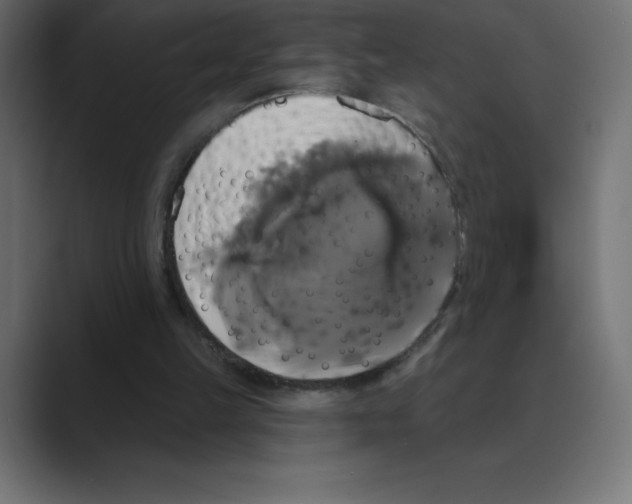 X0000088470149200706191354