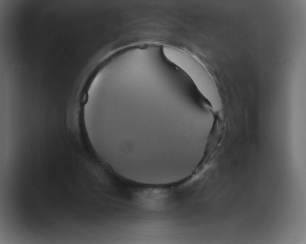 X0000088470152200706191354