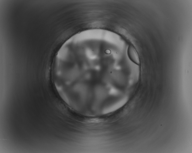 X0000088470153200706191354