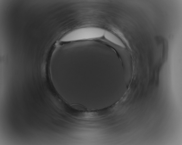 X0000088470154200706191354