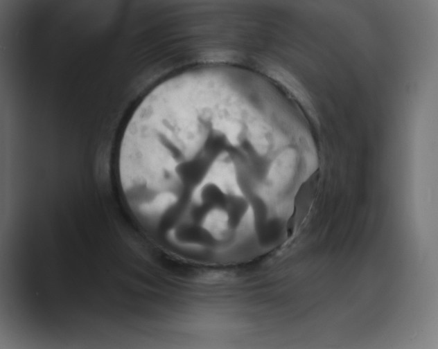 X0000088470155200706191354