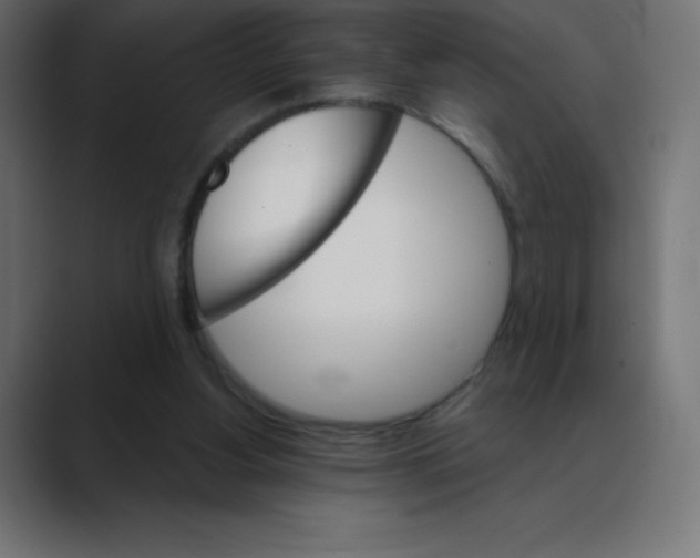 X0000088470156200706191354
