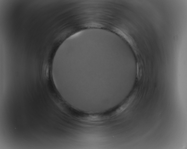 X0000088470157200706191354