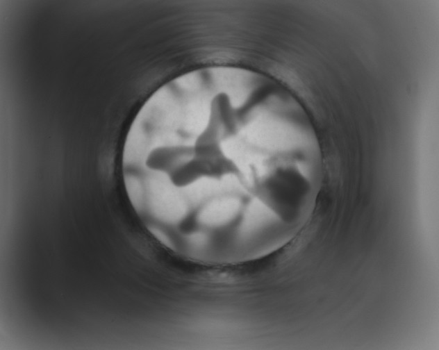 X0000088470159200706191354