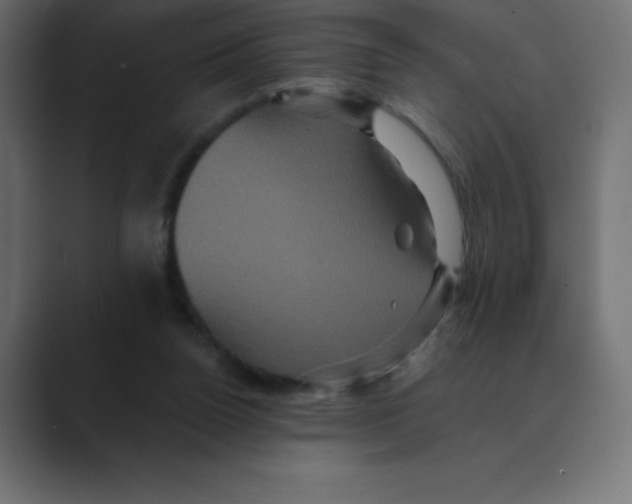 X0000088470160200706191354