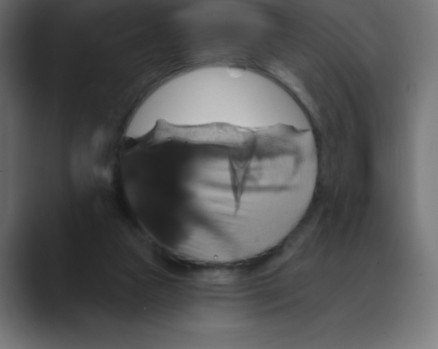 X0000088470161200706191354