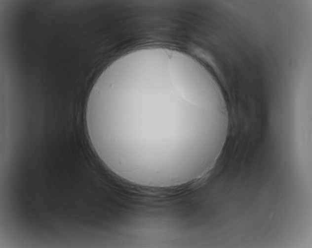 X0000088470162200706191354