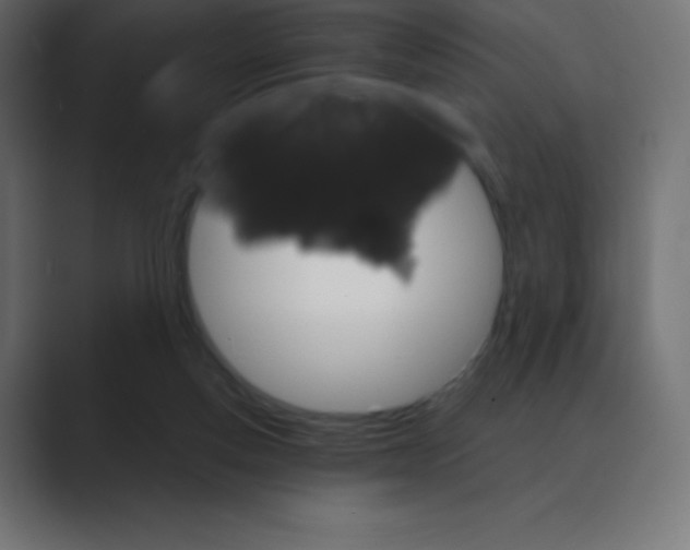 X0000088470163200706191354