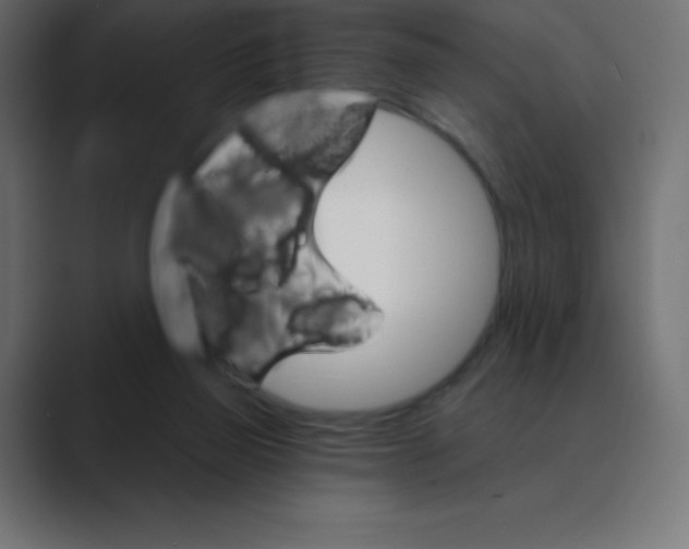 X0000088470165200706191354