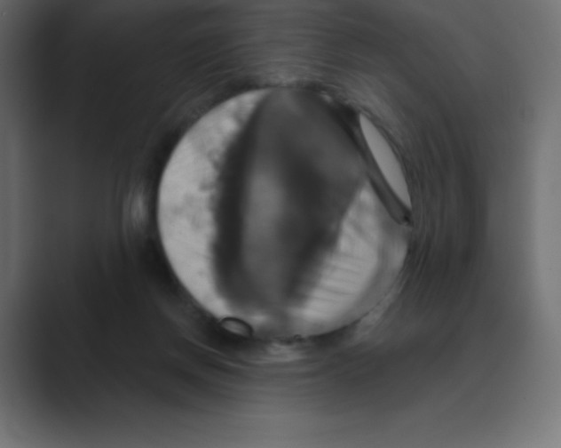 X0000088470166200706191354