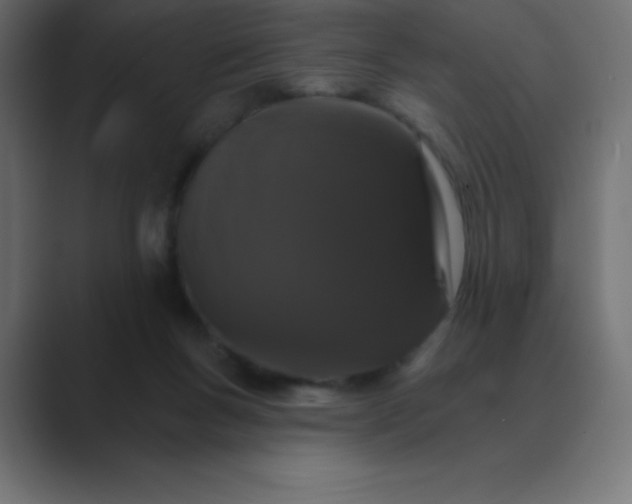 X0000088470167200706191354