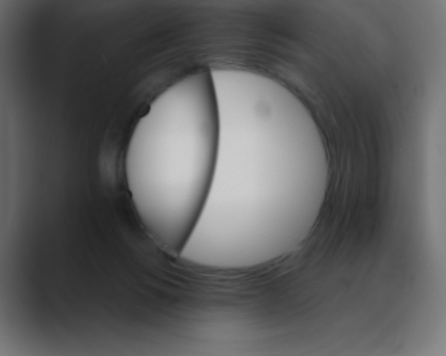 X0000088470168200706191354