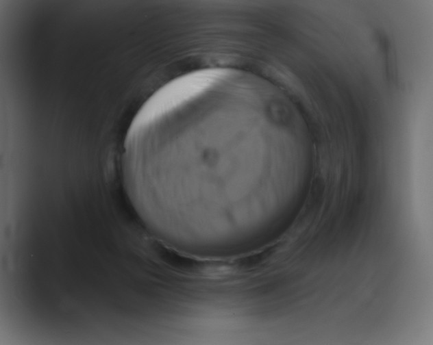 X0000088470169200706191354