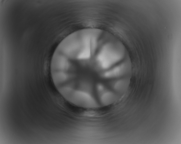 X0000088470171200706191354