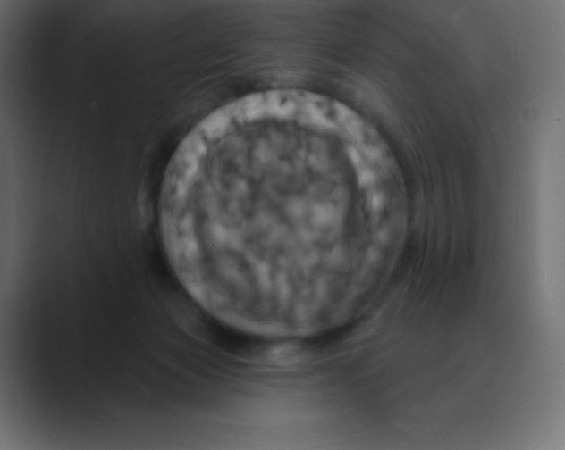 X0000088470173200706191354