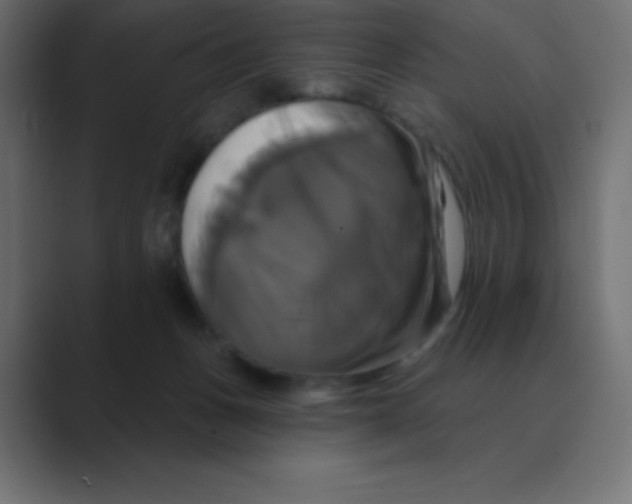 X0000088470175200706191354