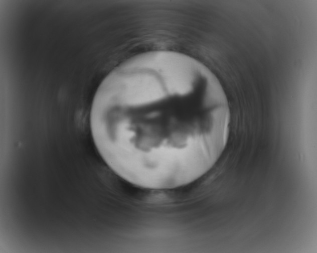 X0000088470177200706191354