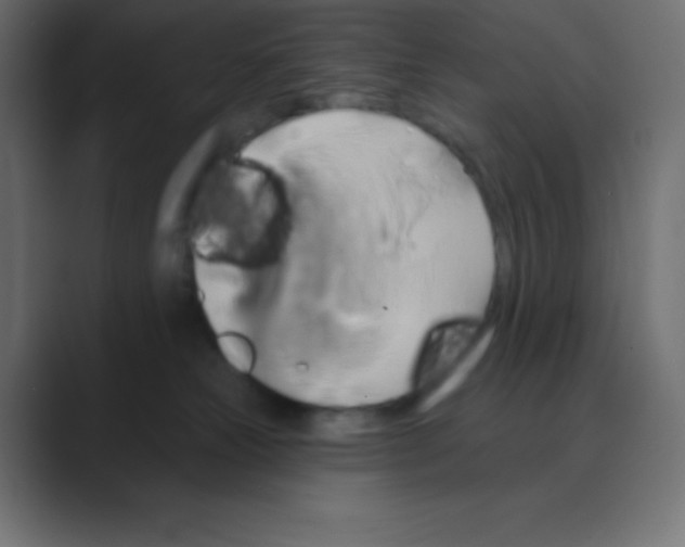 X0000088470181200706191355