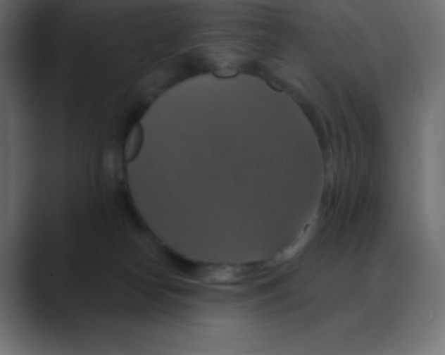 X0000088470182200706191355