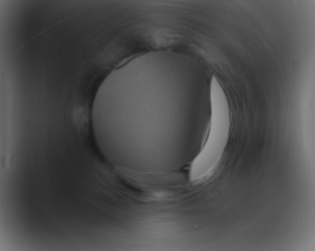 X0000088470184200706191355