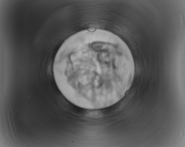 X0000088470185200706191355