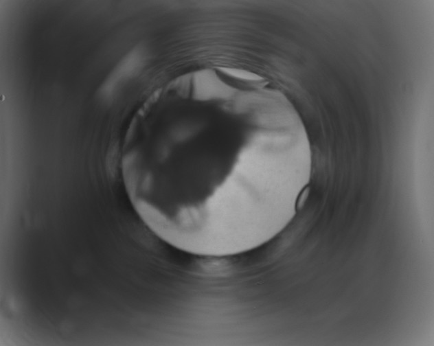 X0000088470189200706191355
